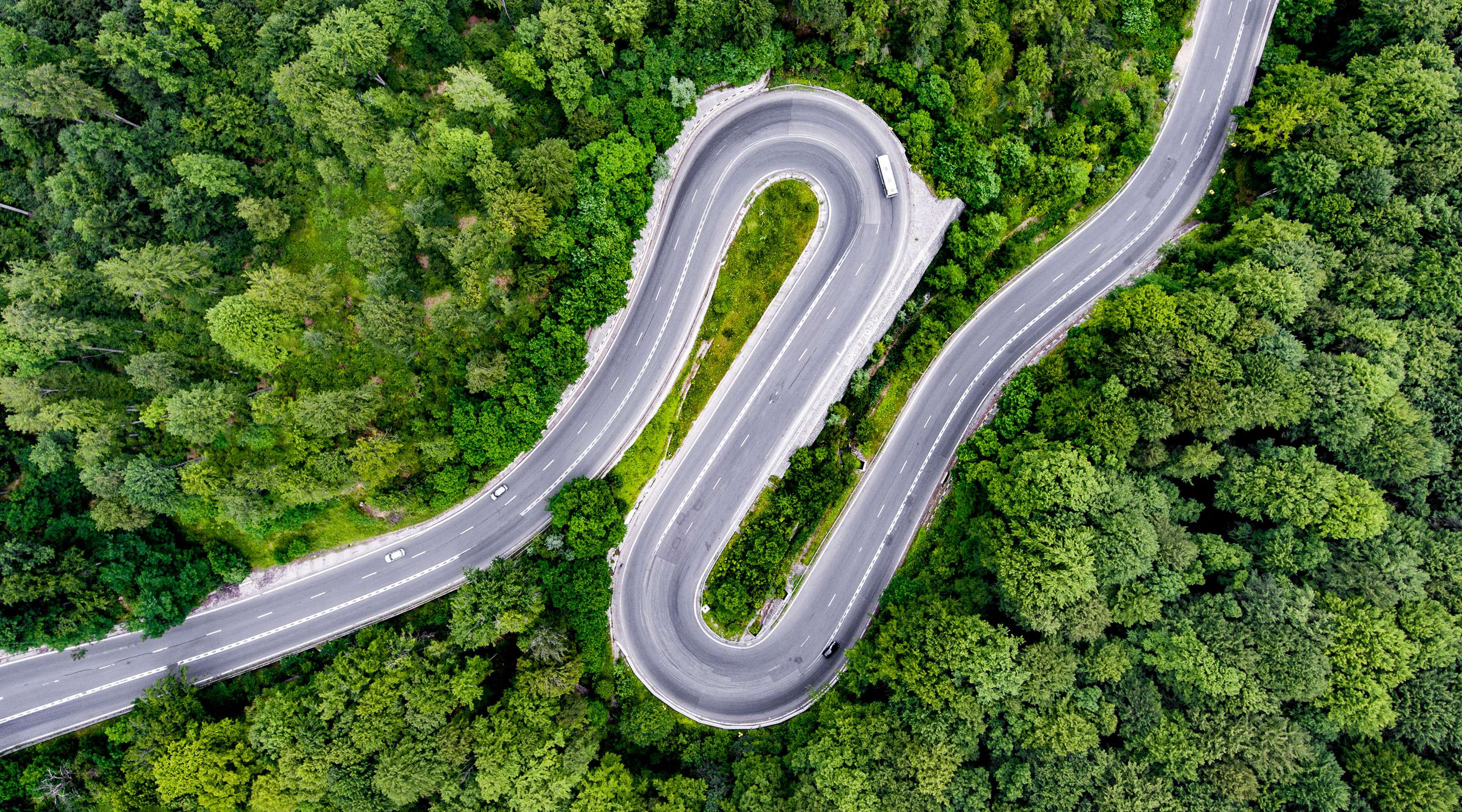 Kurvige Straße von oben, die durch einen Wald führt