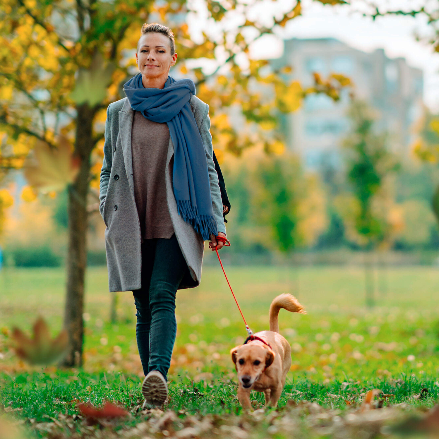 Frau geht mit Hund im Park spazieren