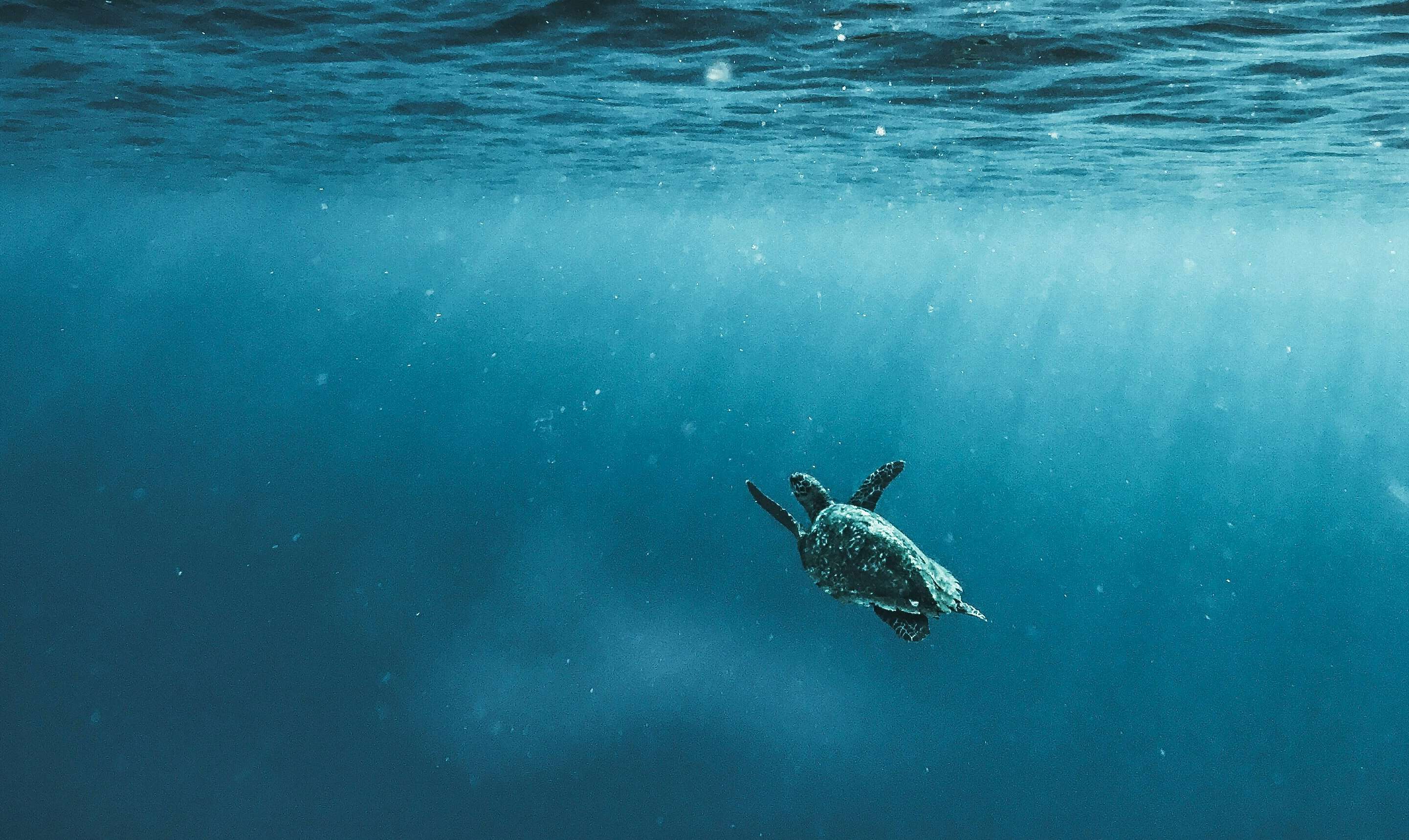 © Gordon Welters/startsocial e.V.