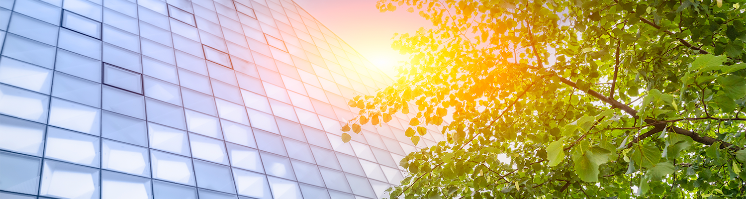 Nachhaltigkeit als Chance