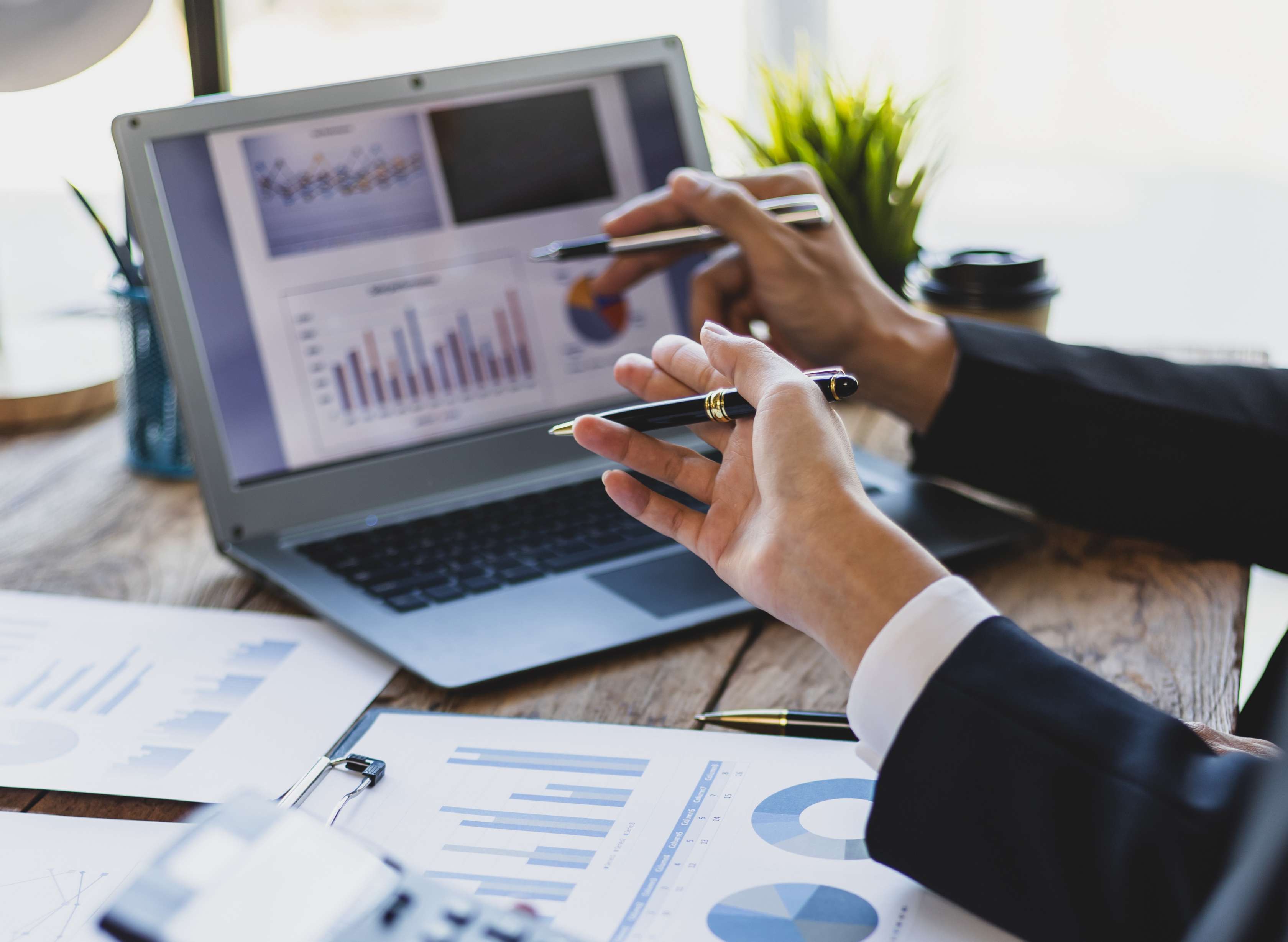 useful description of image if informative and not decoration only.