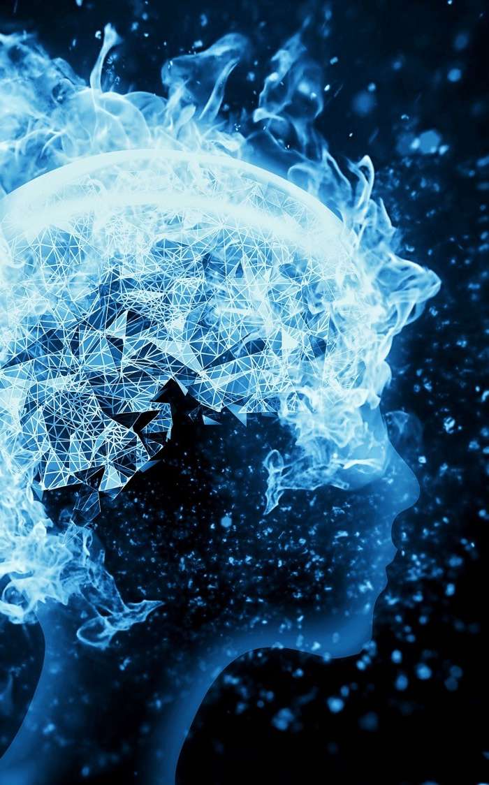 useful description of image if informative and not decoration only.