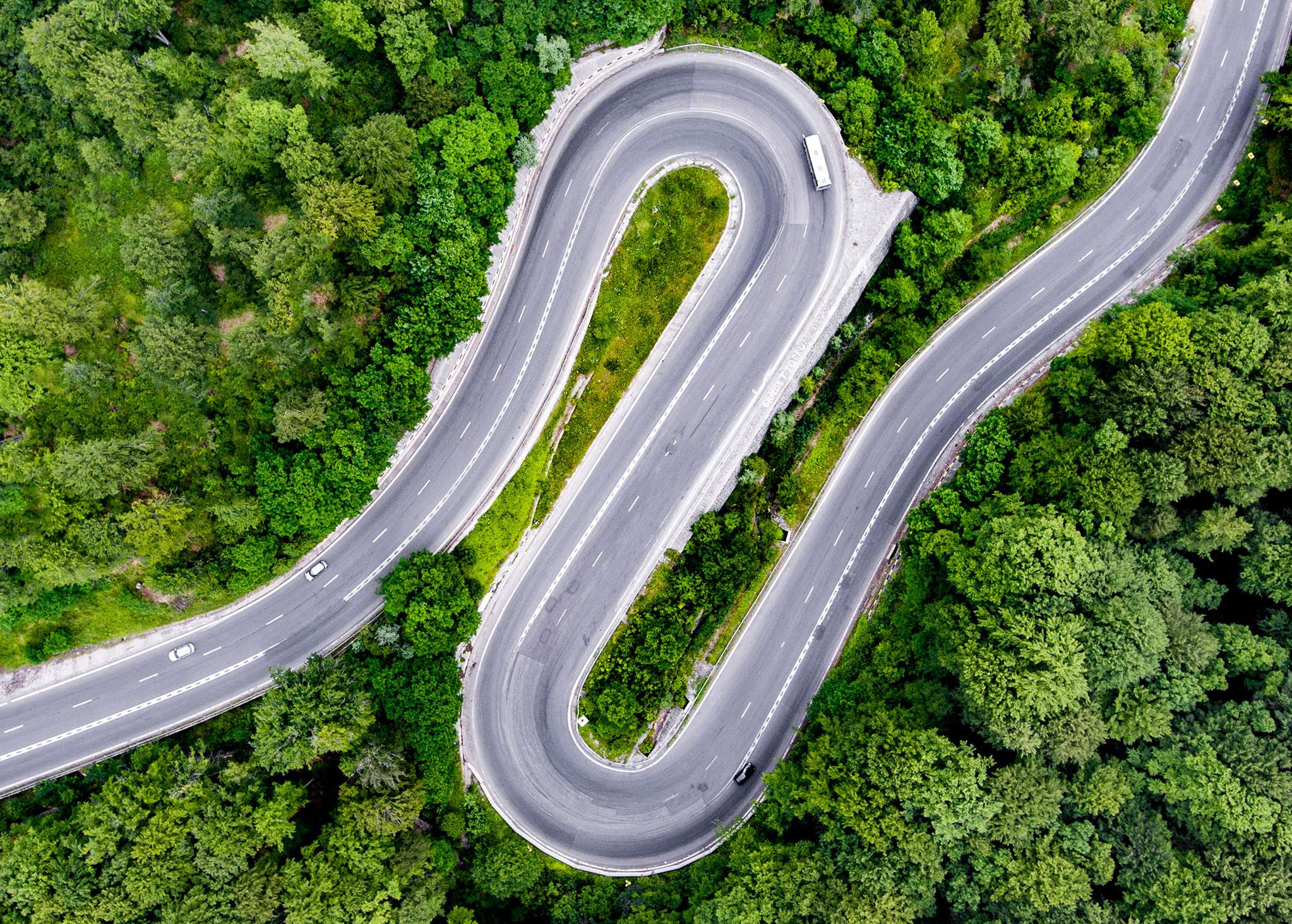 Kurvige Straße von oben, die durch einen Wald führt