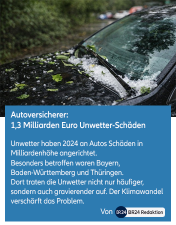 Hagelkörner und Blätter auf einer Motorhaube