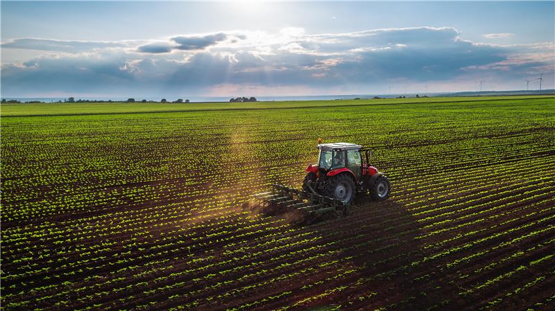 Traktor mit Anhänger fährt auf einem Feld