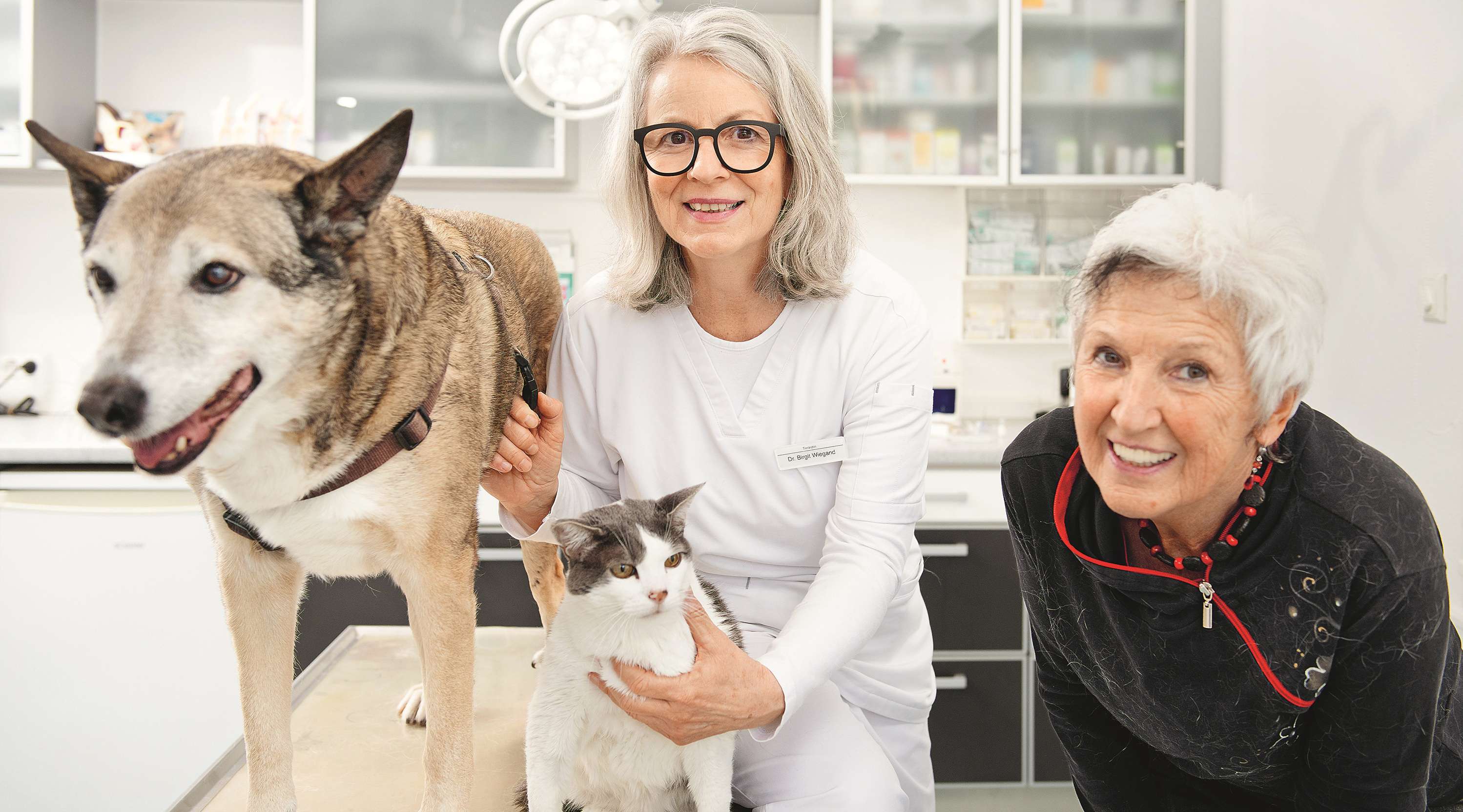 Tierärztin mit Hund, Katze und Besitzerin in einer Praxis