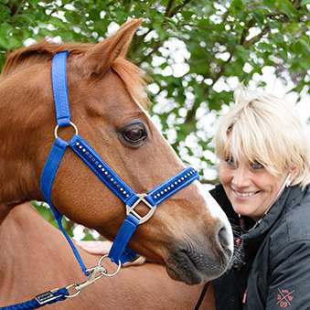 Reiterin mit einem Pferd