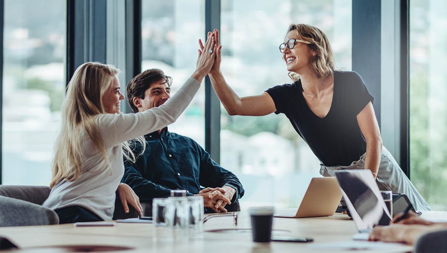 useful description of image if informative and not decoration only.