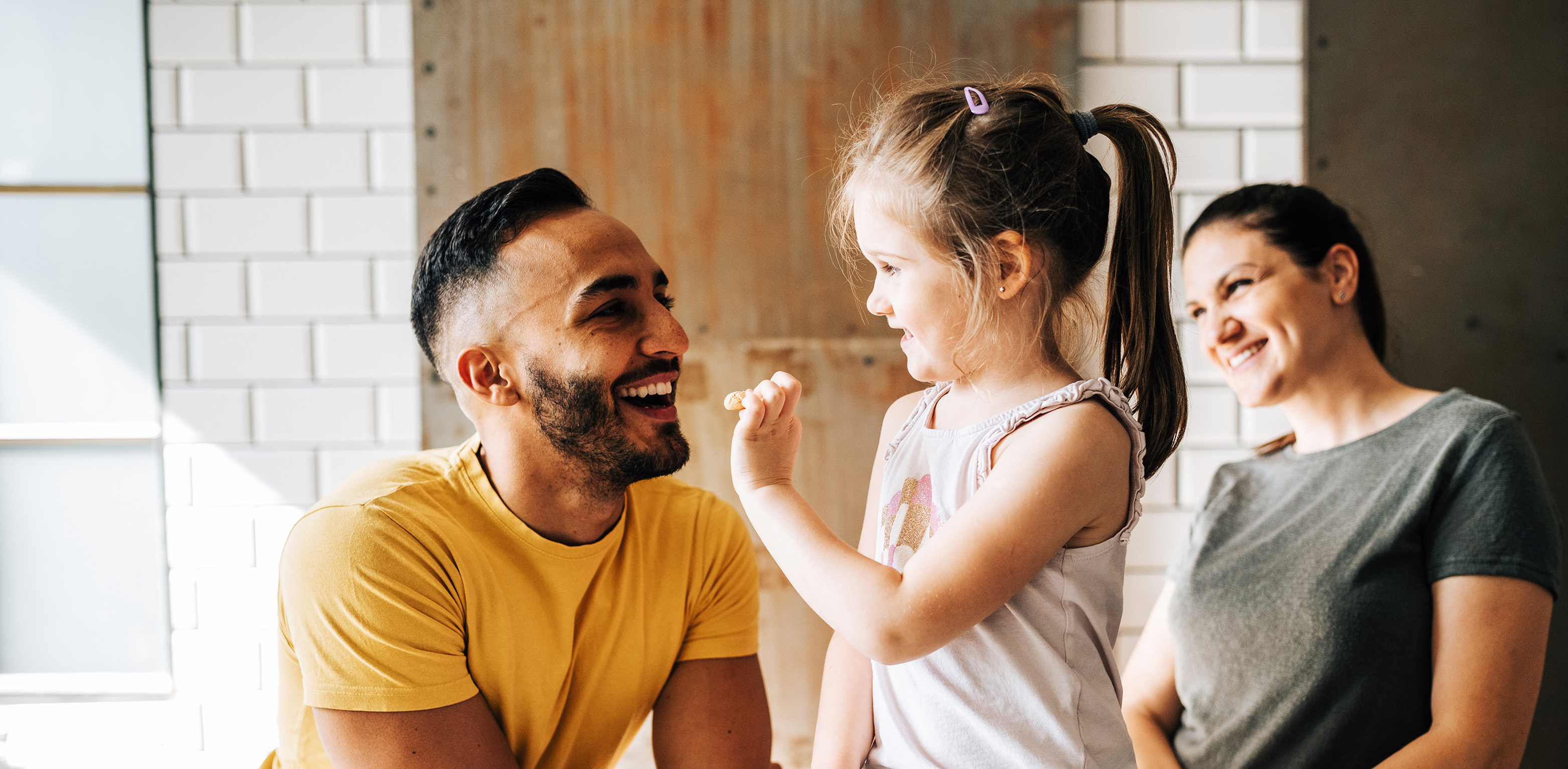 useful description of image if informative and not decoration only.