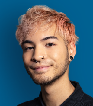 useful description of image if informative and not decoration only.